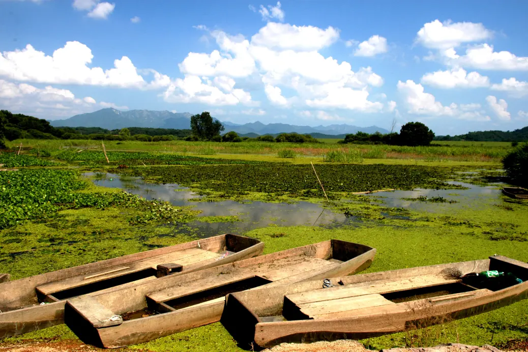 Changnyeong Biosphere Reserve Designated as New UNESCO Biosphere Reserves